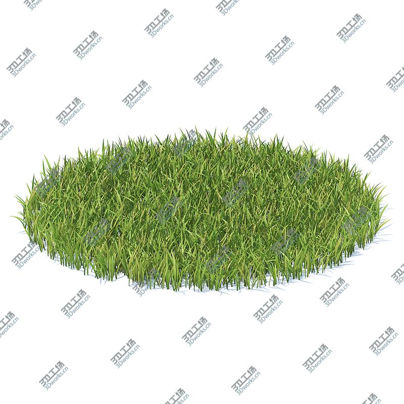 images/goods_img/202105071/3D Wild Plants 3D Models Collection FBX OBJ model/2.jpg